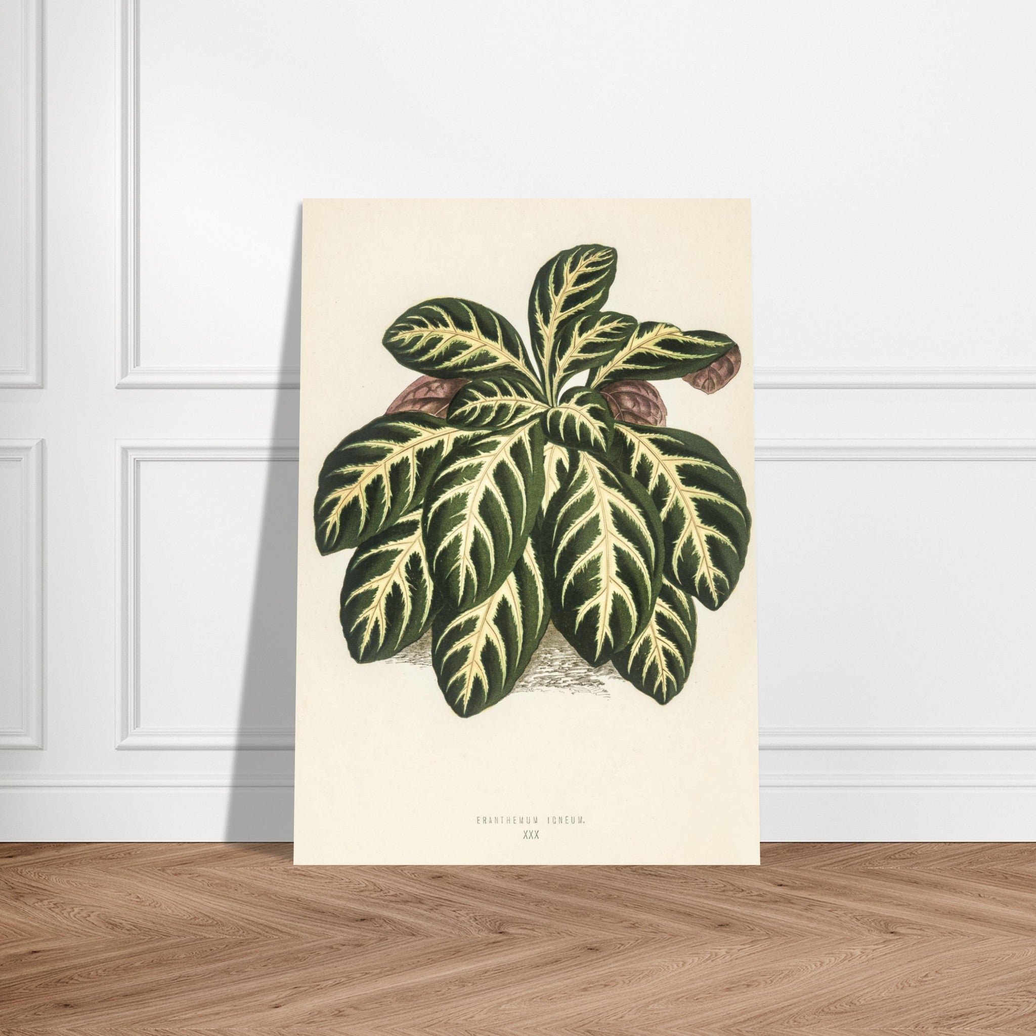 85072247-cf72-459f-8555-542742560cd5