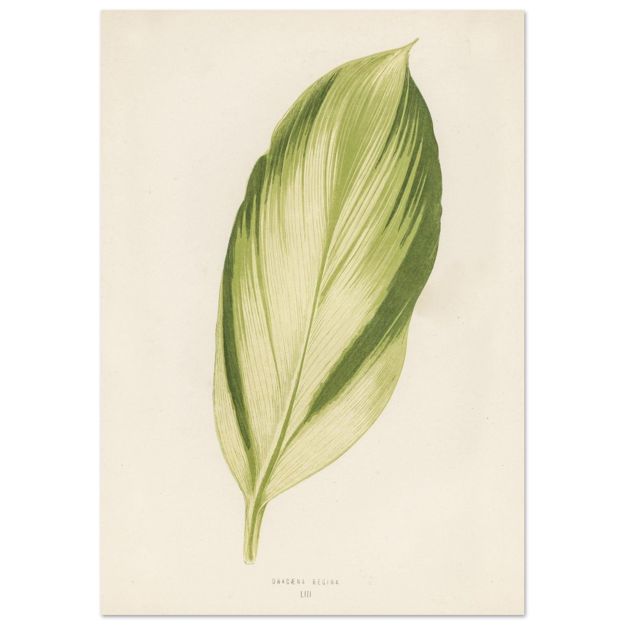 87ad38f0-cda7-4b6c-95eb-a7b115aaef5c