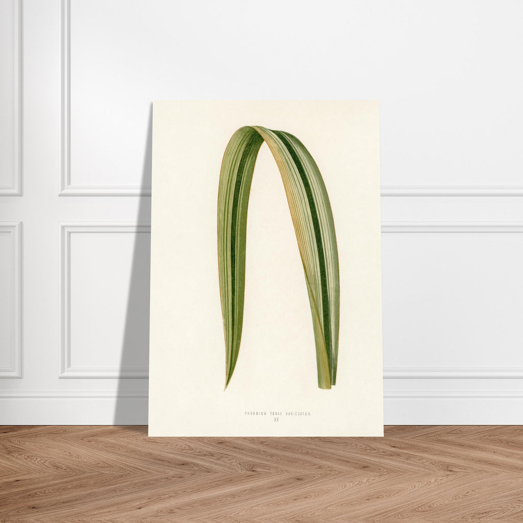 88bb53d4-36ad-4e6d-a6d7-40ca1b5fa629