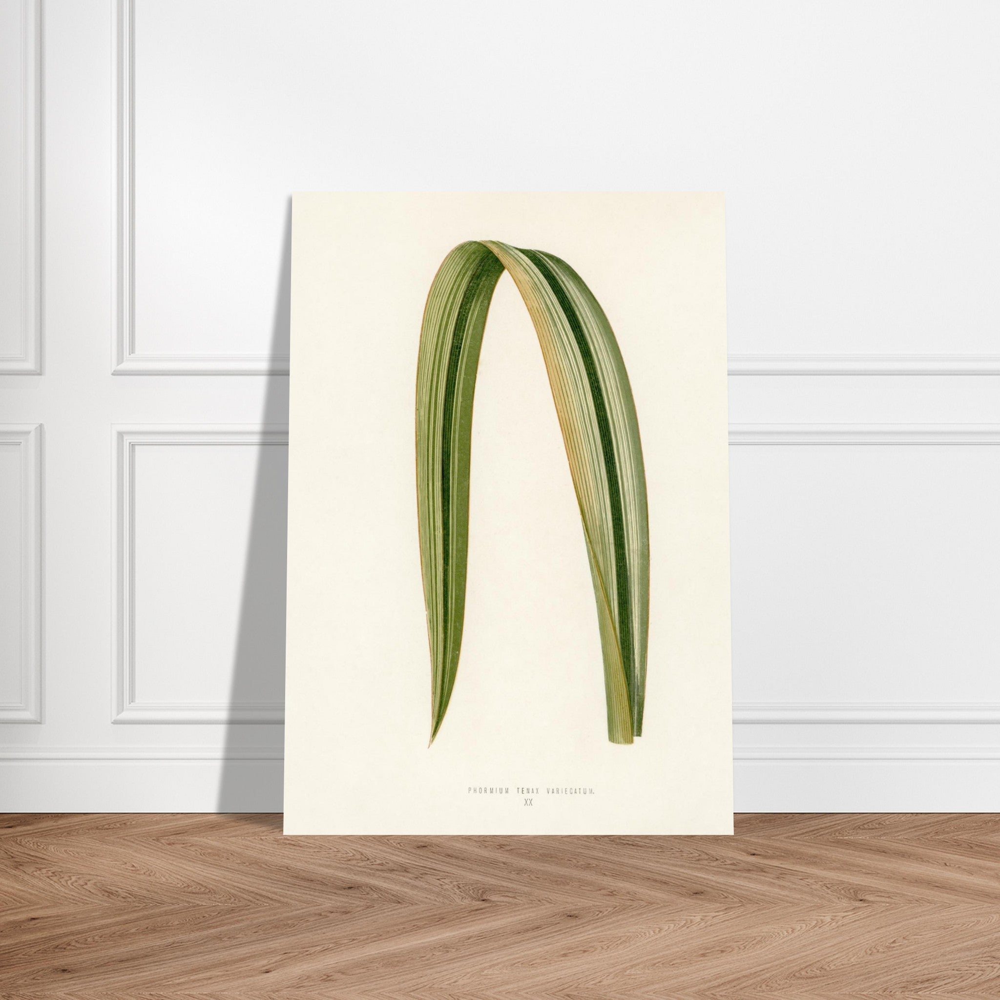 88bb53d4-36ad-4e6d-a6d7-40ca1b5fa629