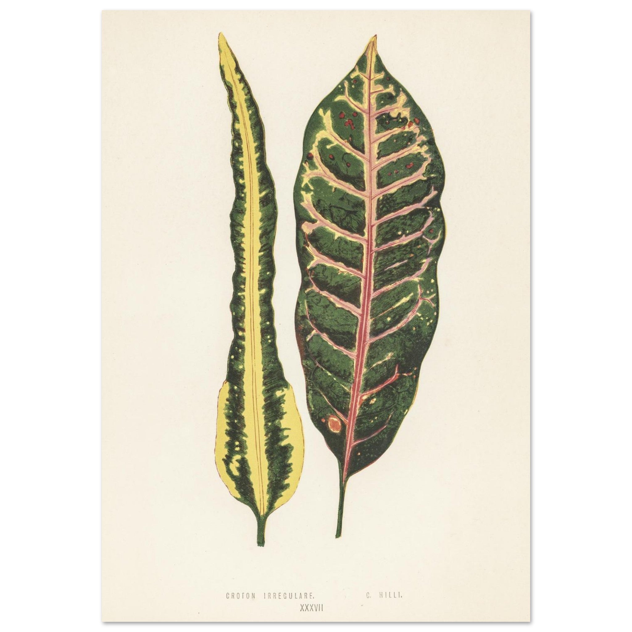 89d5fd1b-b1fb-4d4d-9c90-515ddfc0cf5f