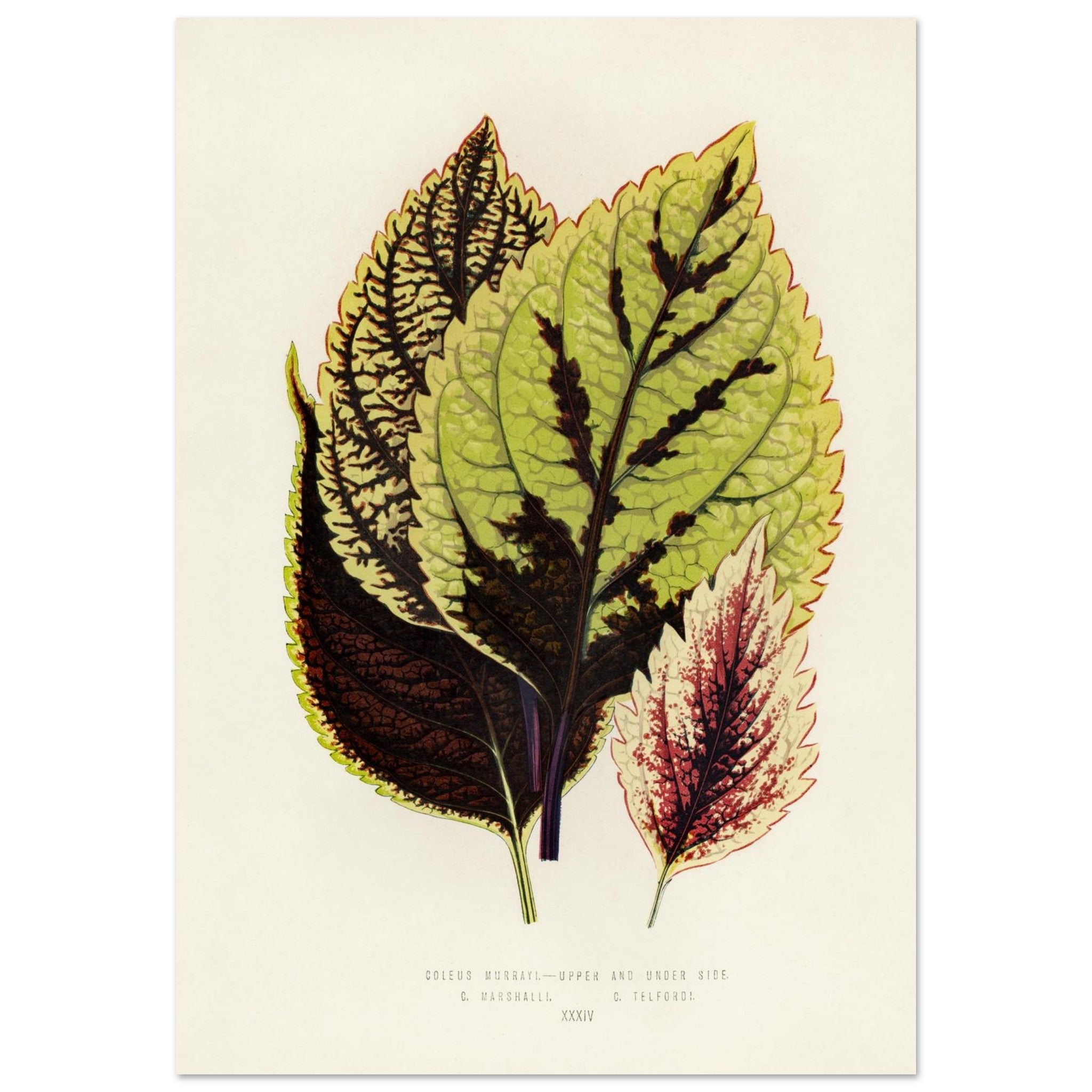 8a7db6ea-9641-4eed-b247-1f389dd7d8e6