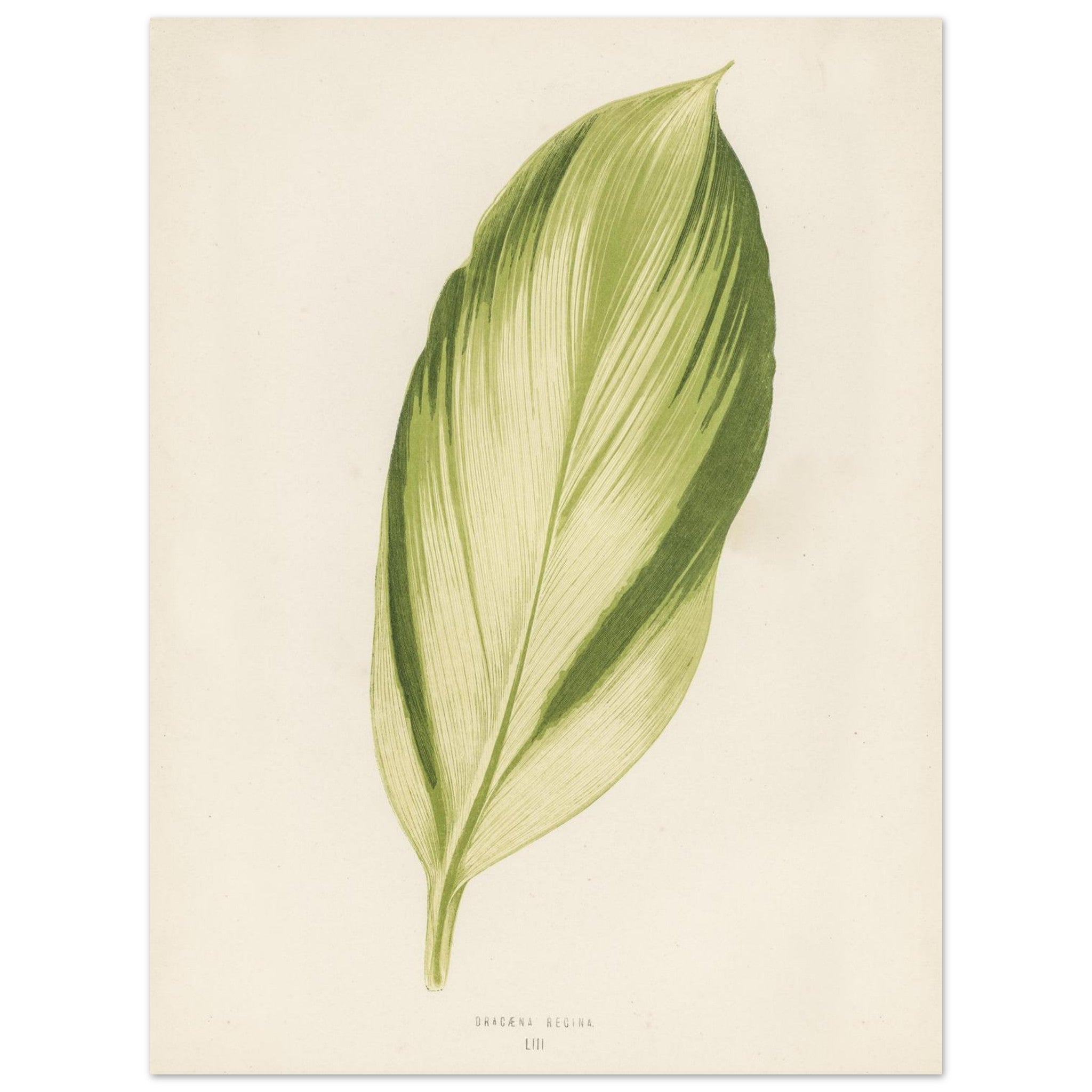 8f7c7776-88cc-48c4-929c-63b68efa1b80