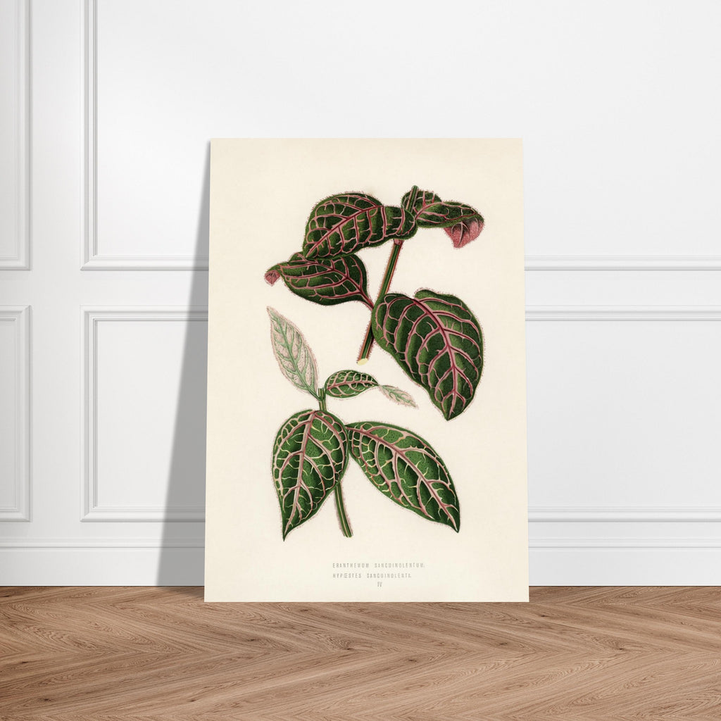 92446827-3bf6-4548-885d-21ed74f08d65