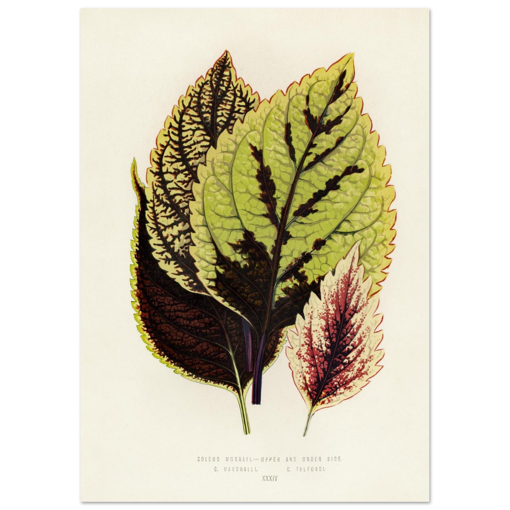 92d9f35c-4753-4441-8513-72a88f1ac663