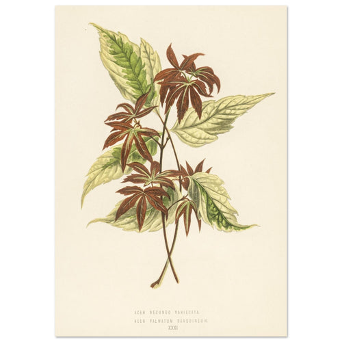 933f32bf-400f-42a2-8614-b4964d9df98b