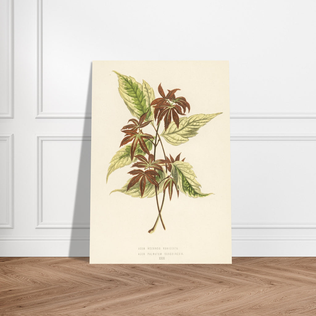 93ebffb8-2eae-46f5-90a4-5afd96afdfdc