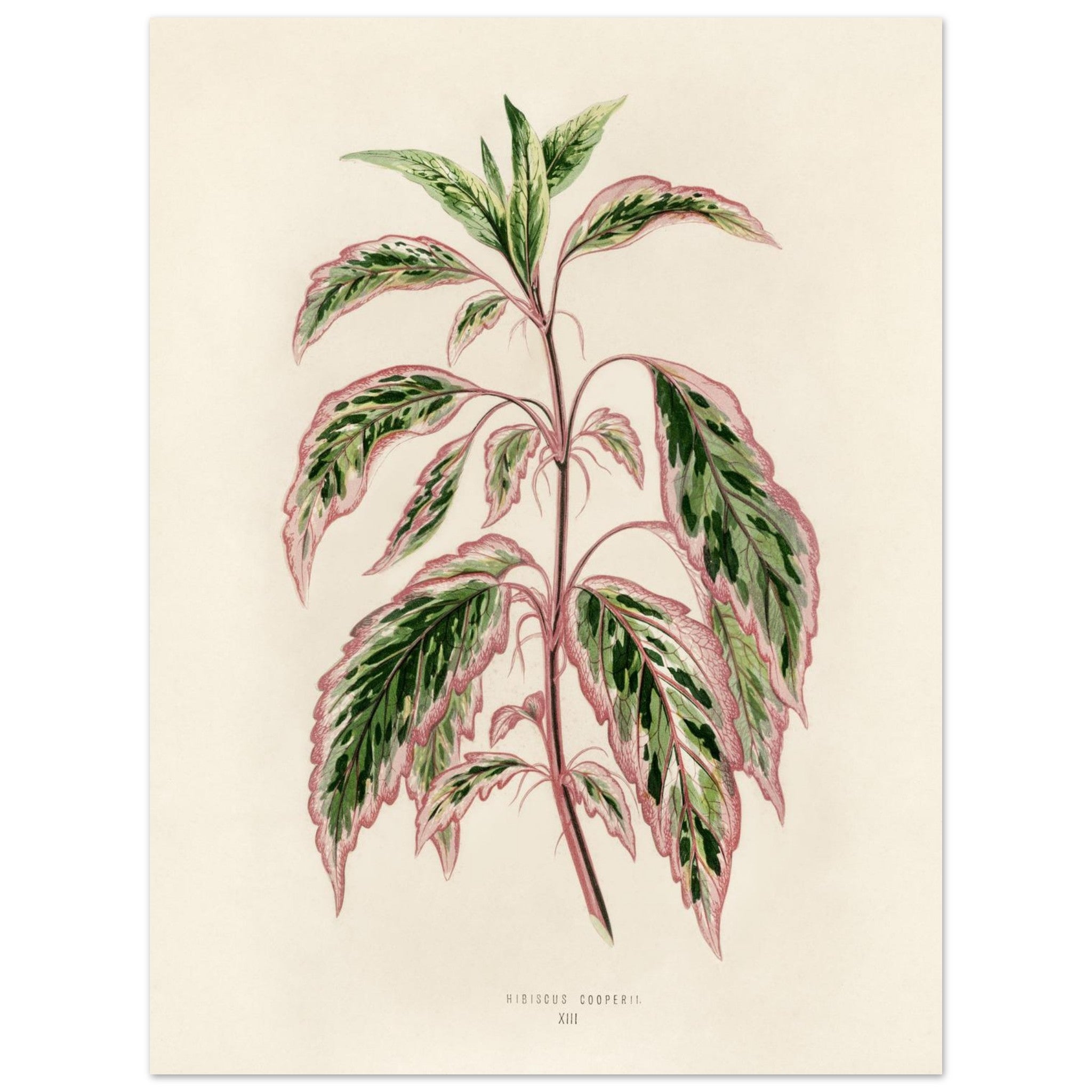 94167b45-f31b-4127-9f98-f2d6ae307070