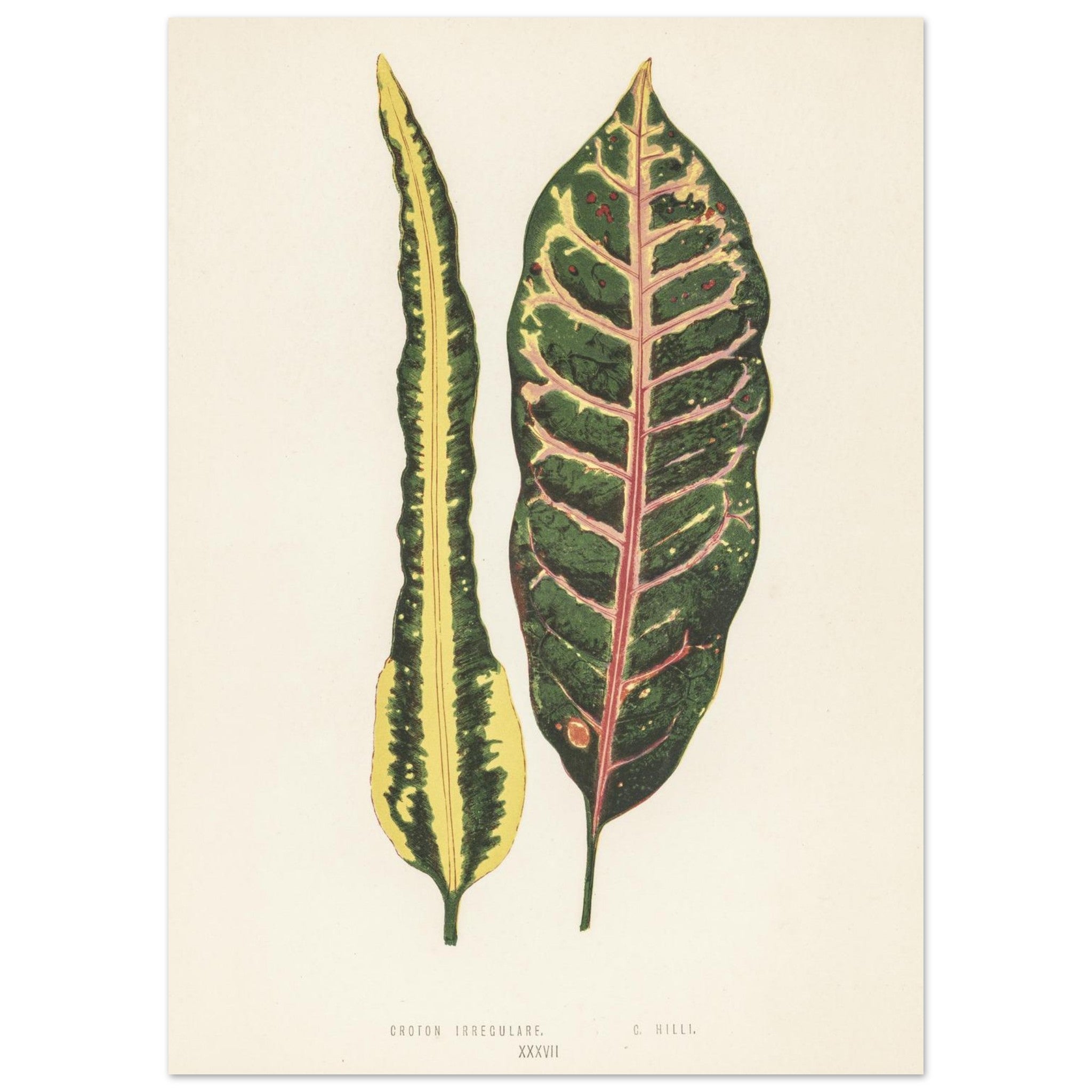 9772bf9a-491a-49ca-b78f-053e3c836037