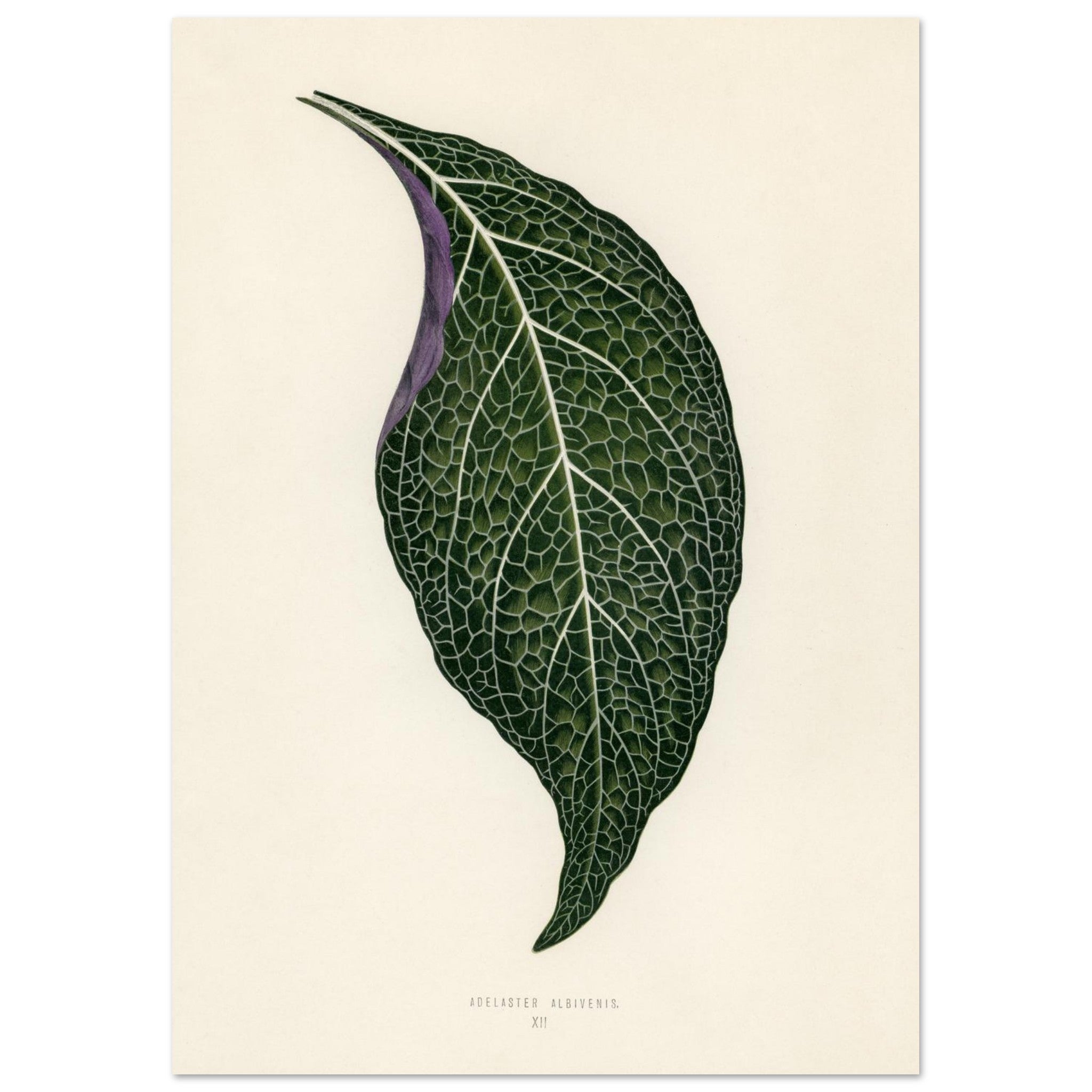 9b8452e8-c74c-4d94-a3d7-1c1cc1315bd1