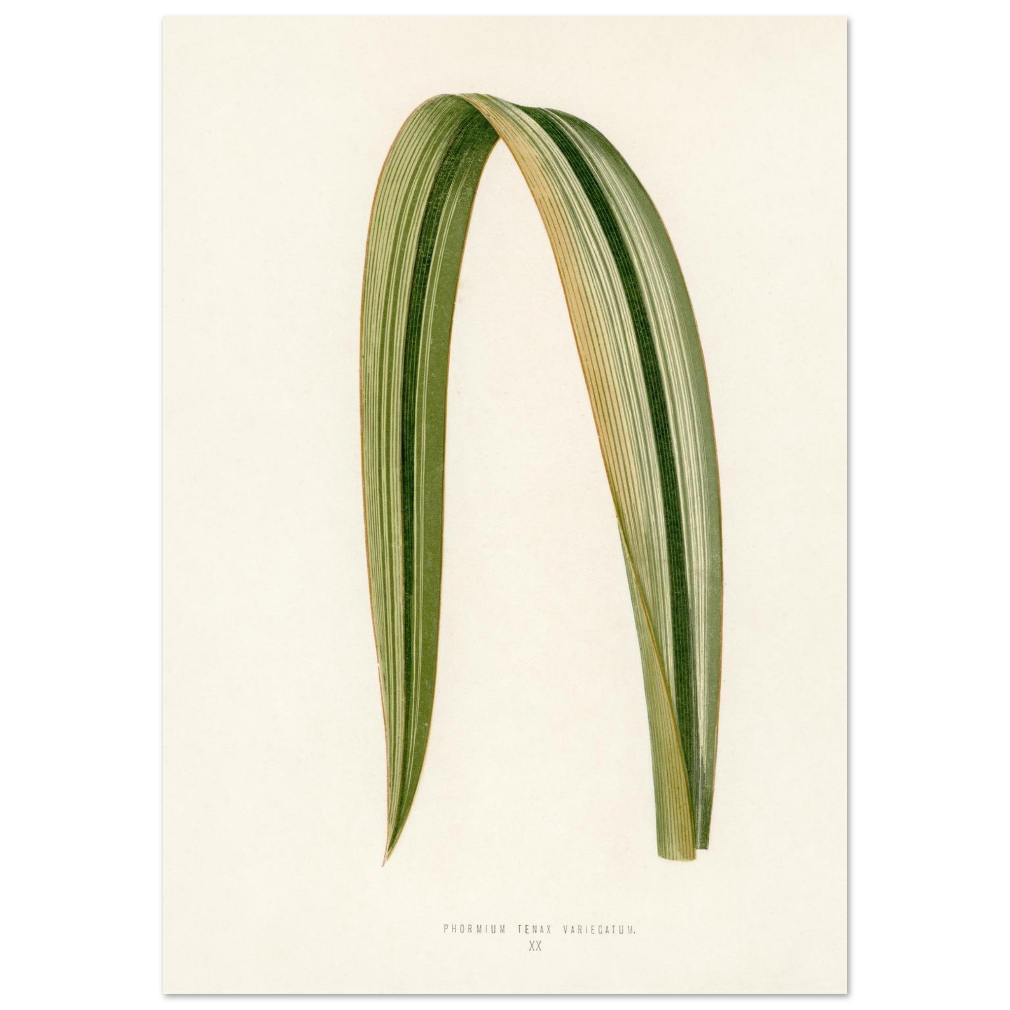 9f8ec713-d38d-4946-aca4-e4e8365b7cc0