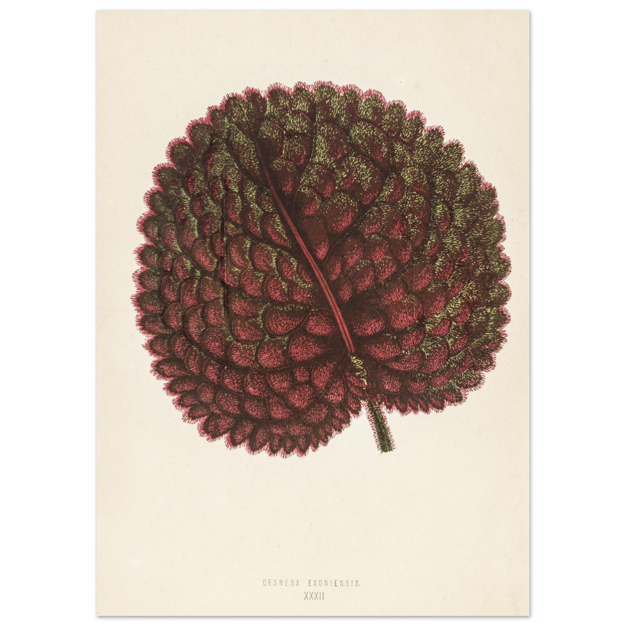 9fecc620-74d8-4fe2-b4ad-11e2f5e5a43d