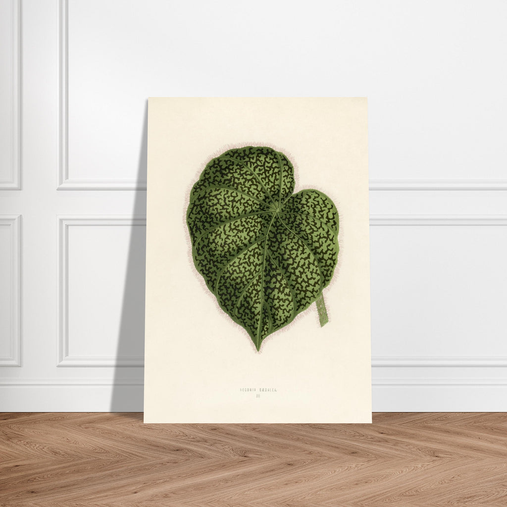 a6dc1a22-eca4-4517-aa26-586f42e7fc78