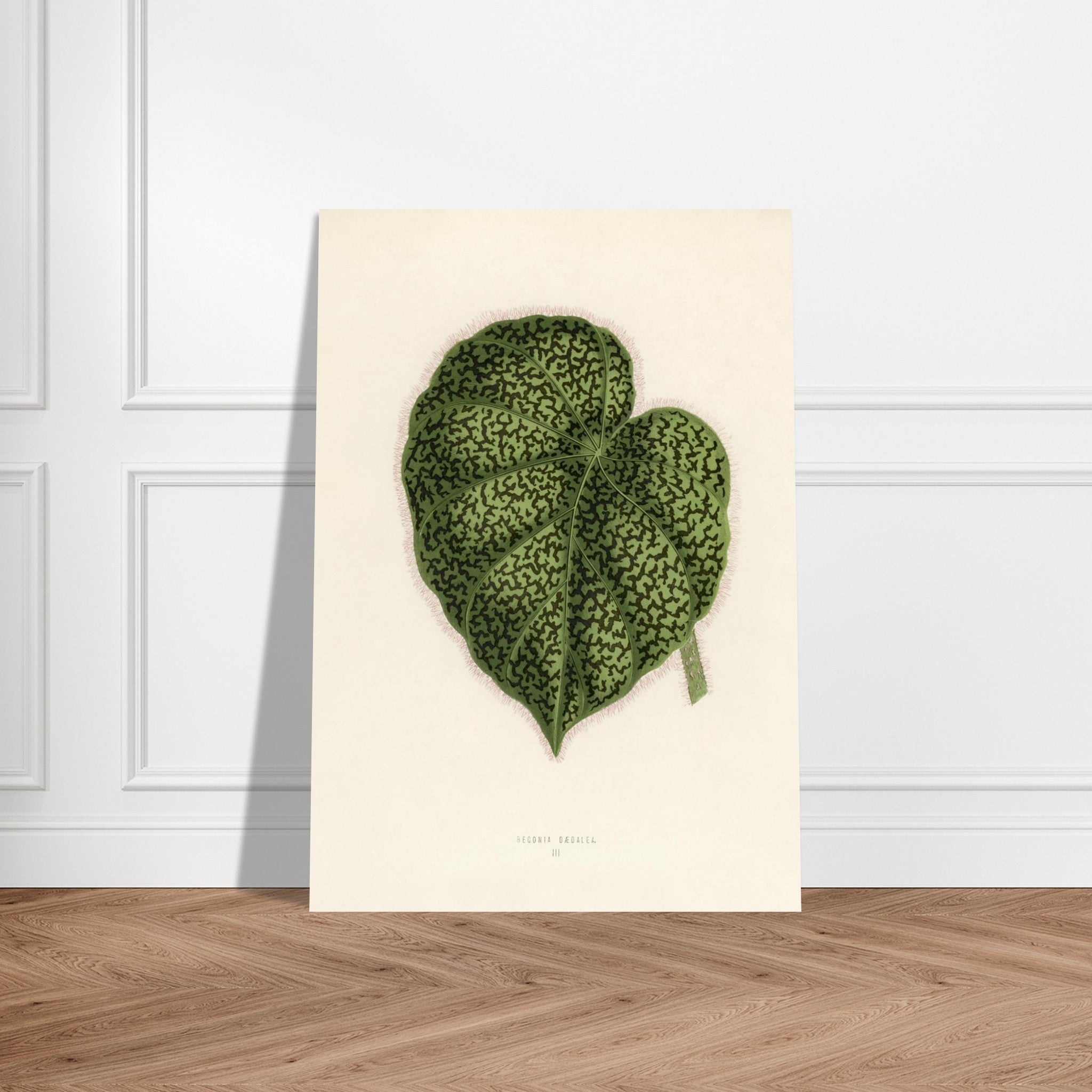 a6dc1a22-eca4-4517-aa26-586f42e7fc78