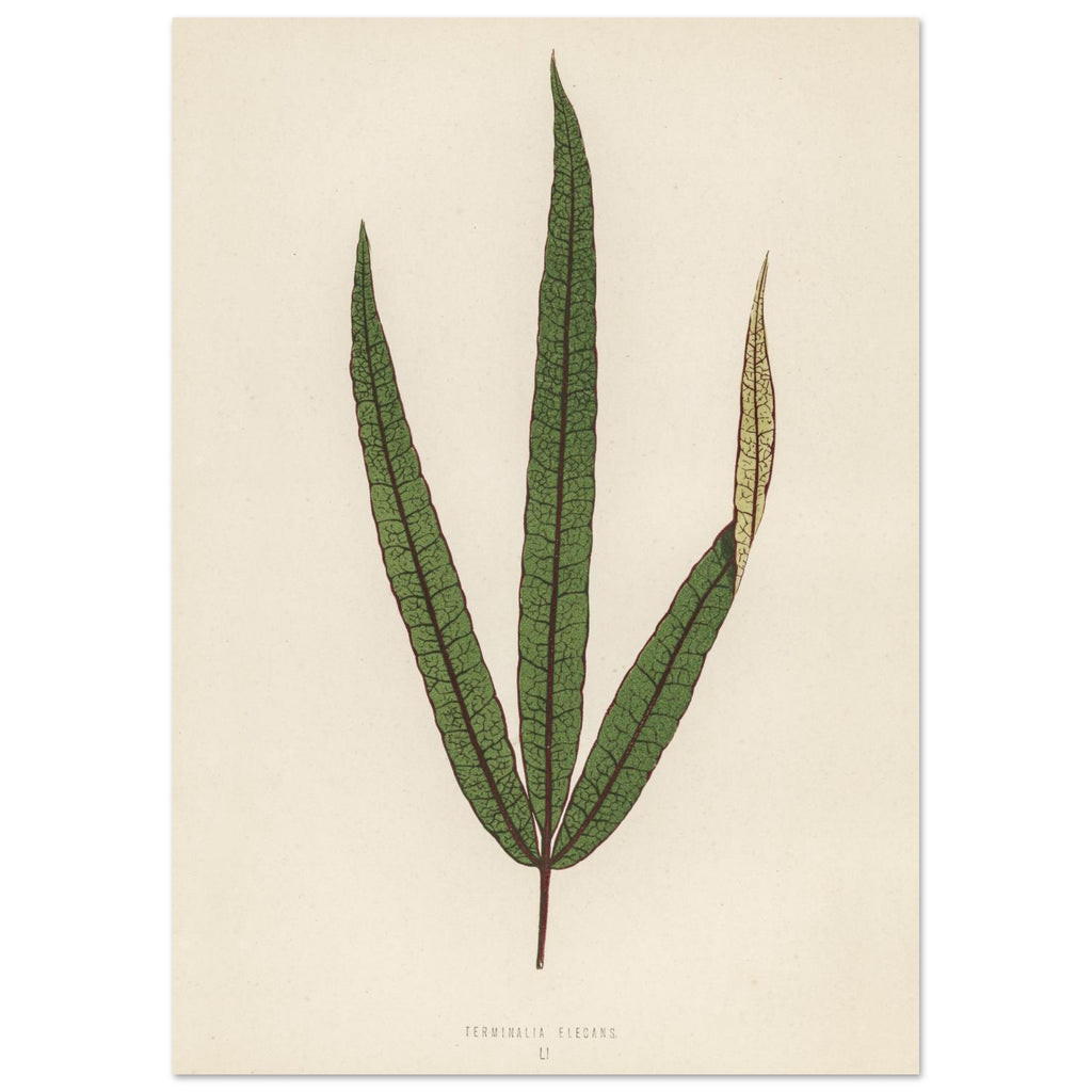 abec1c5d-5b47-47b5-a8d9-5bd48ad5f1fa