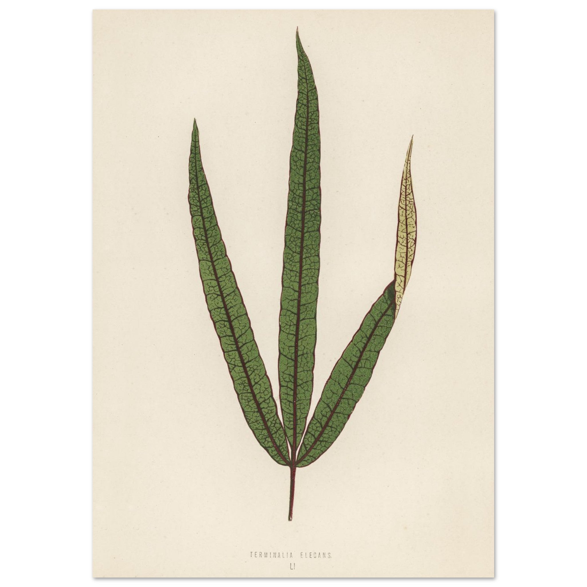 abec1c5d-5b47-47b5-a8d9-5bd48ad5f1fa