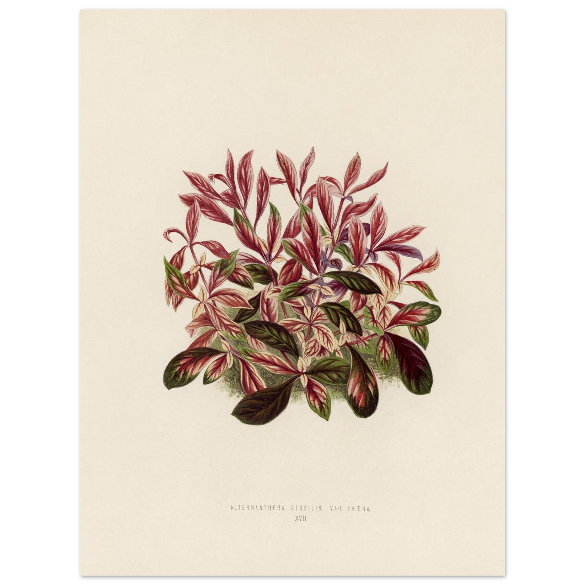 acf4e15c-b582-473d-9a84-d226b2d9169c