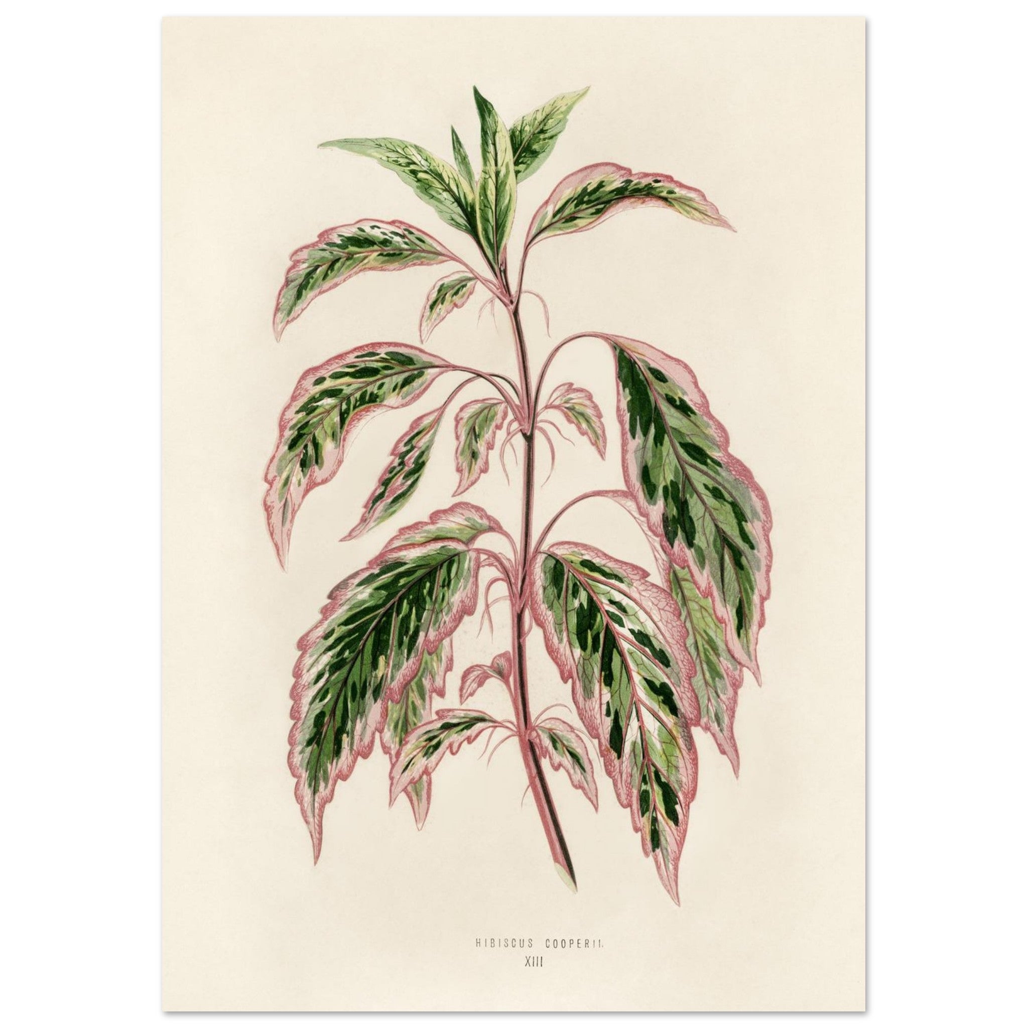 b06ac729-b5ba-437e-9ffc-97b14c90e3a7