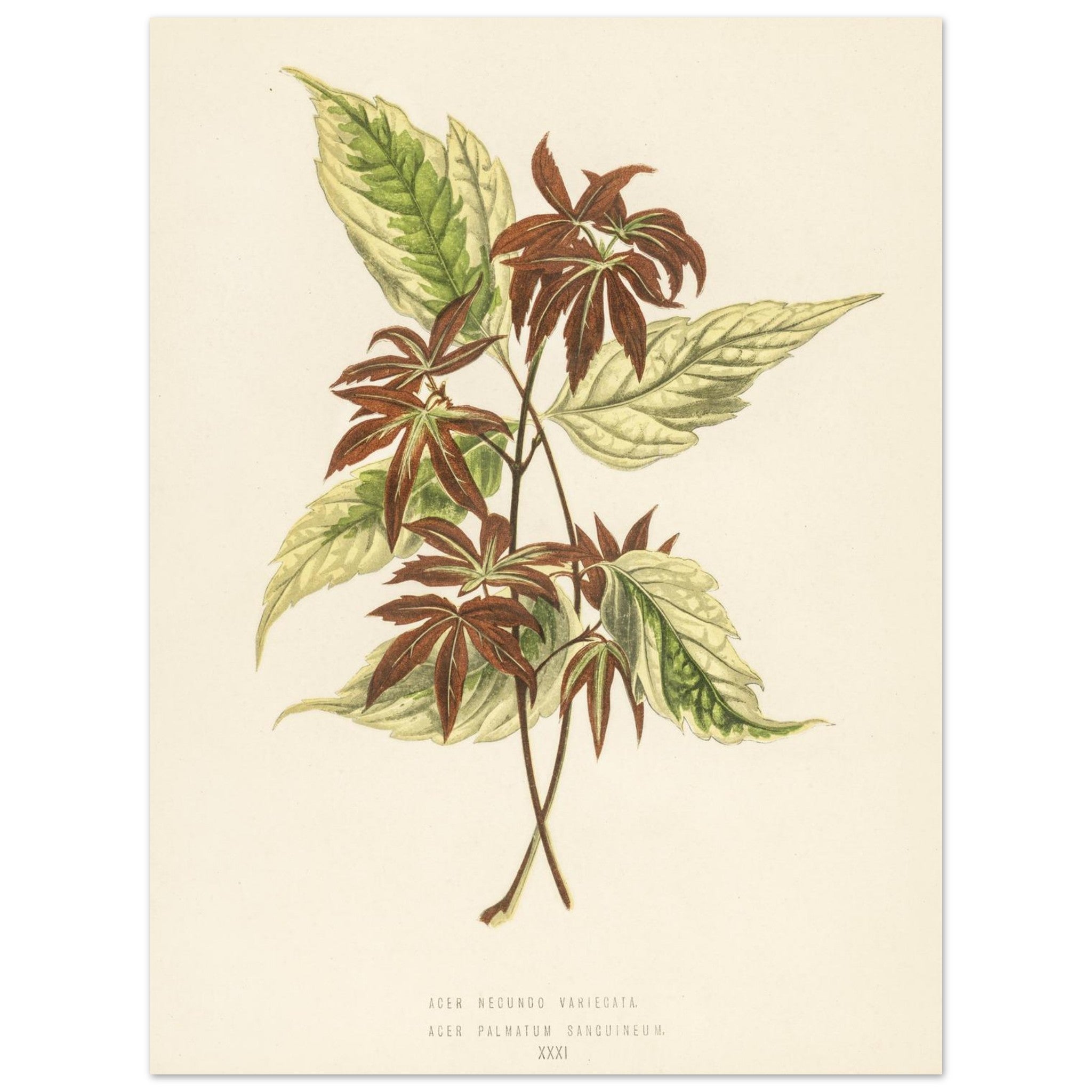 b18e418d-63a7-461c-a2cc-08e56316b962