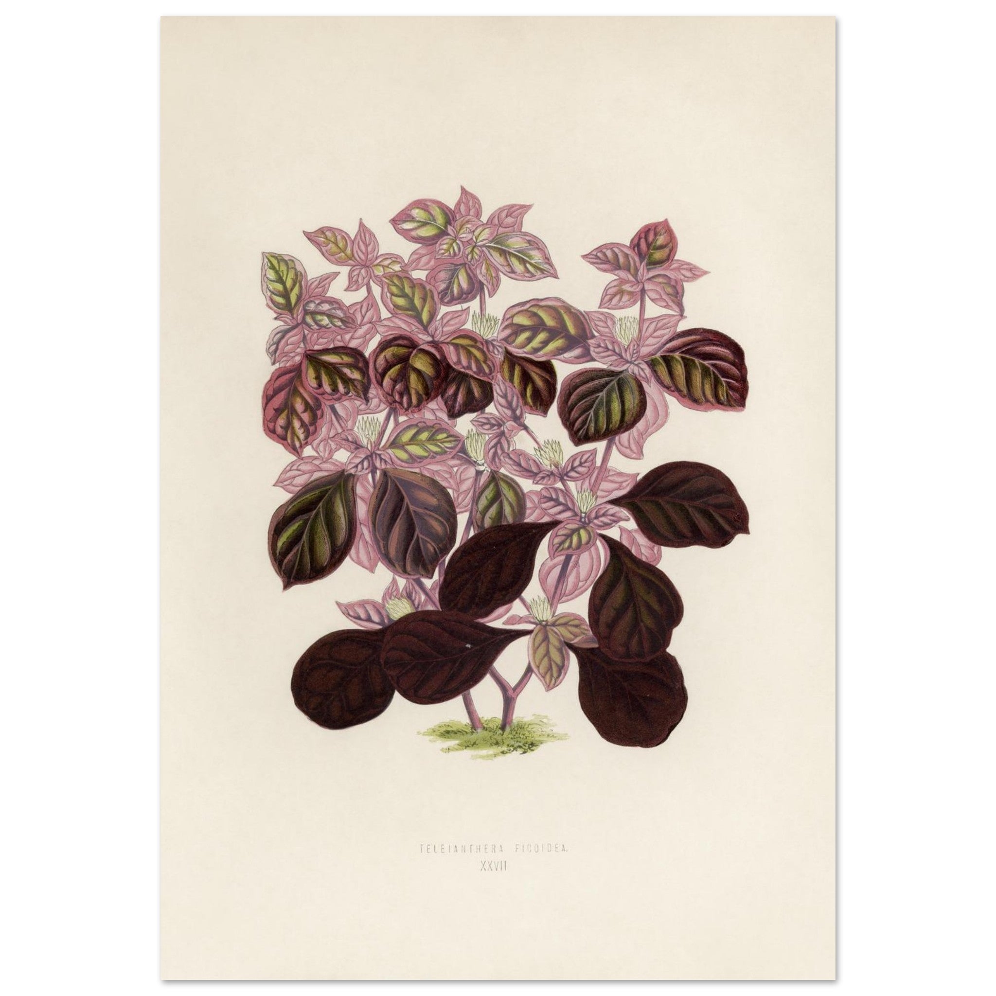 b1c19715-b8d1-473f-8a33-cb15e7949f1a