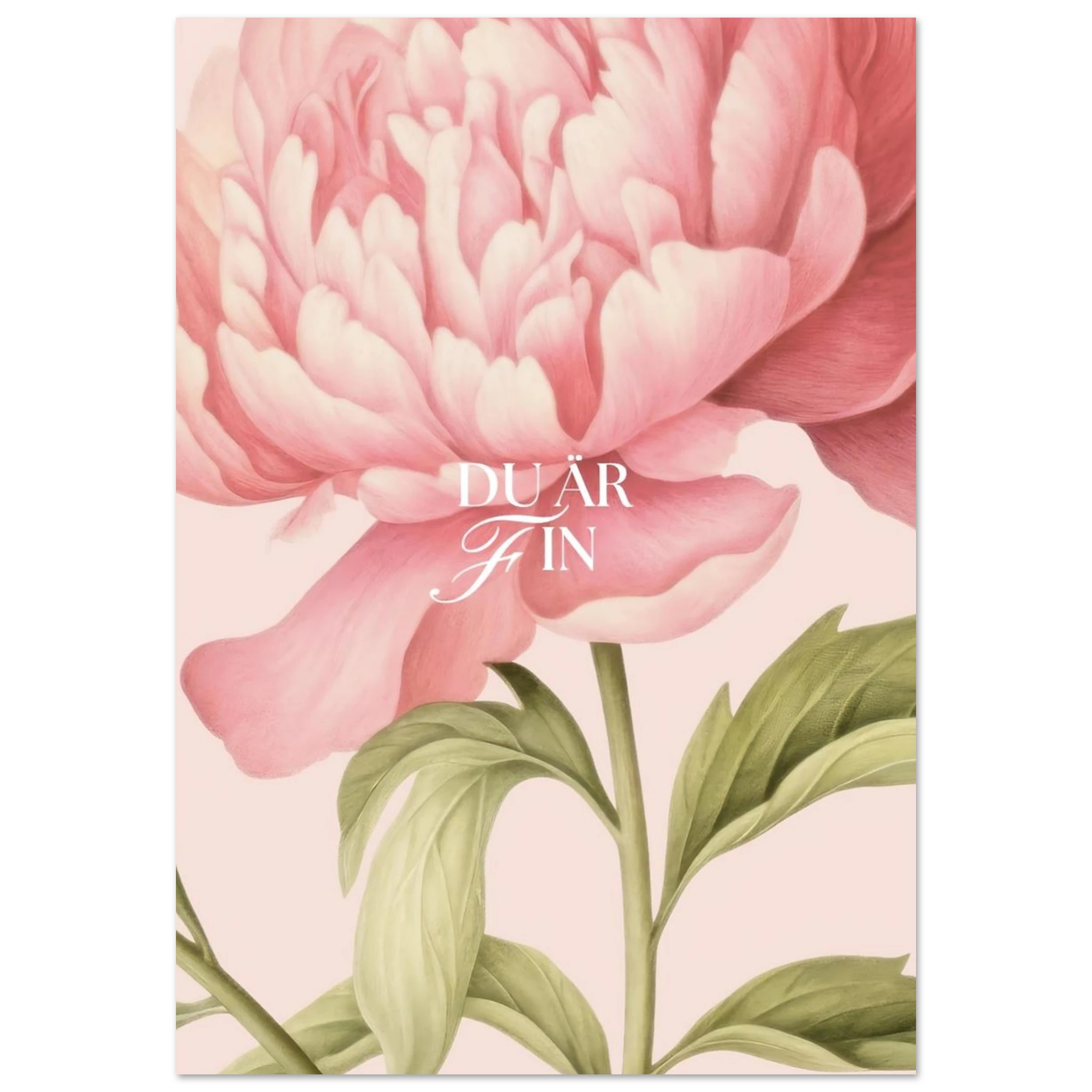 b4405433-96ae-45cb-aaa0-f777a1272d48