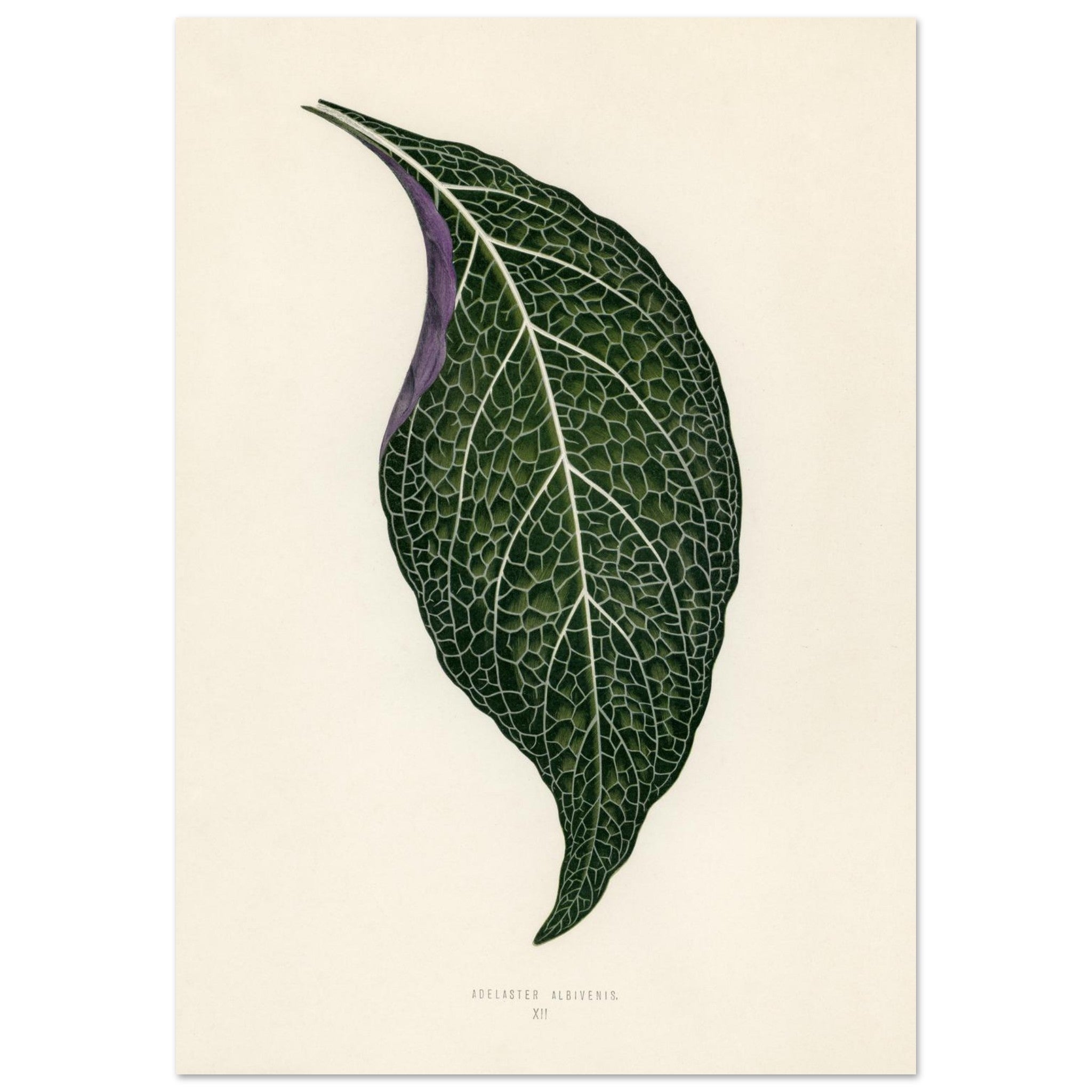 b4e6e1ef-6a29-445f-93b2-54dbff570854