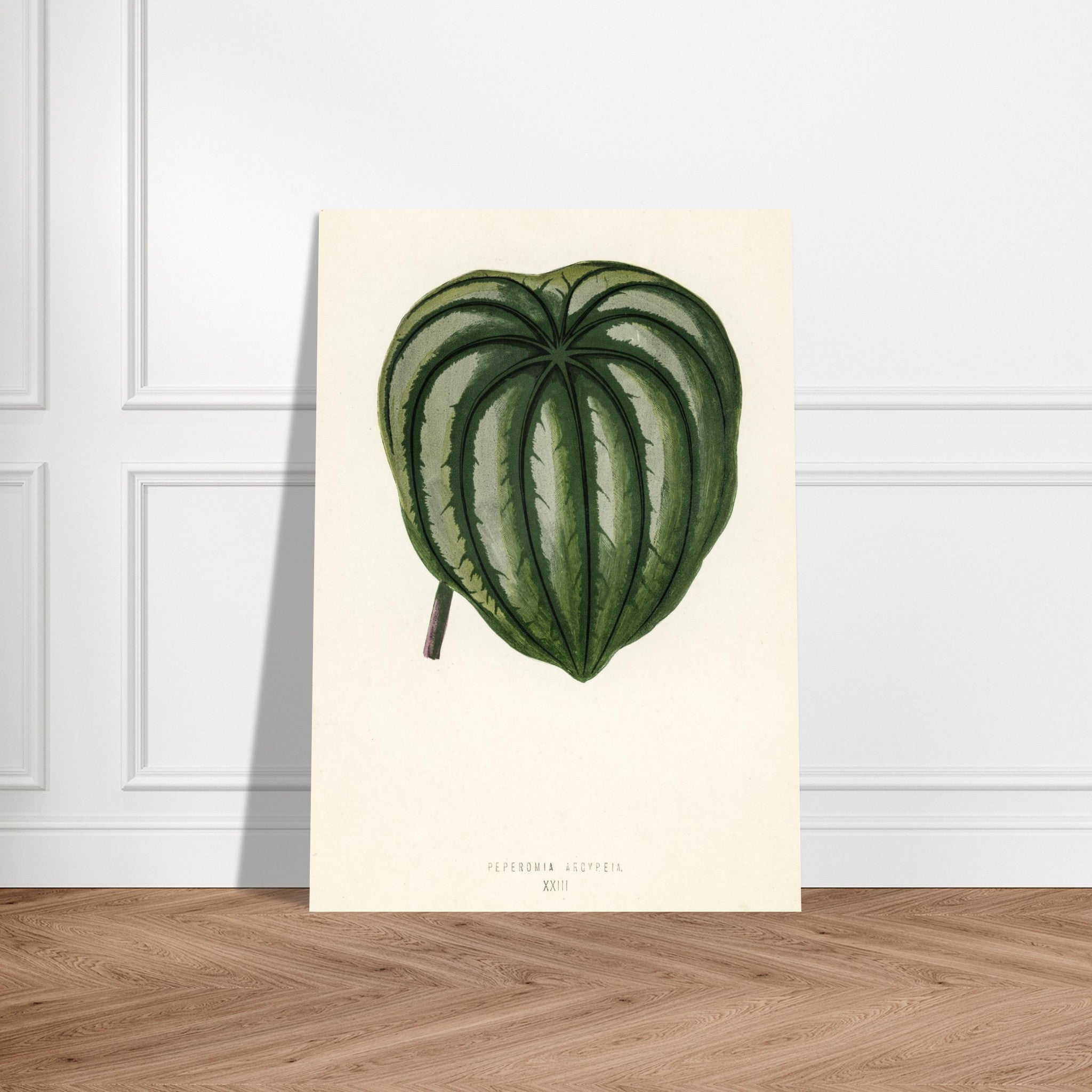 bb2f7029-9b50-445d-913c-9281fa141146