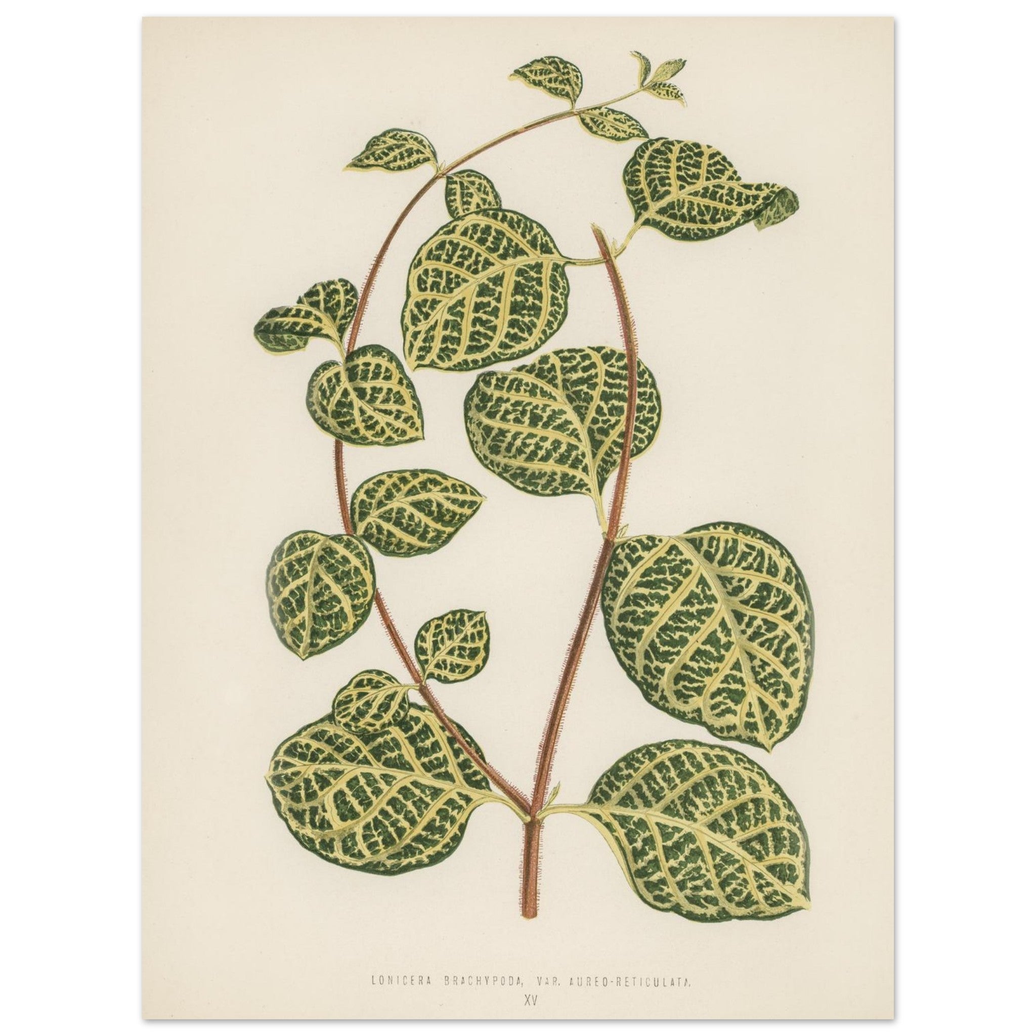 be6110e1-126d-466b-888c-38087b5f22b2