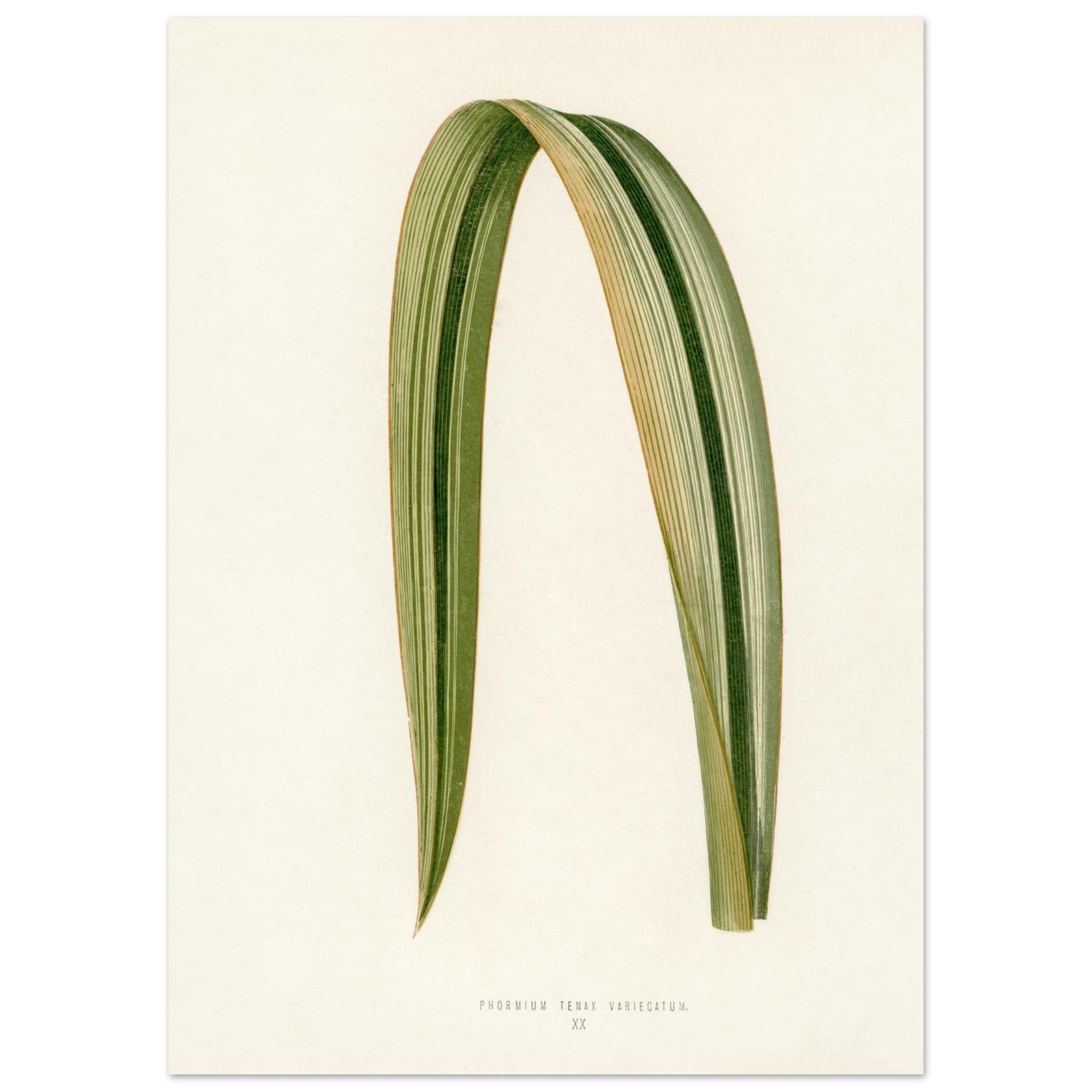 bf382452-28dd-468f-9288-0e8c015e3b21