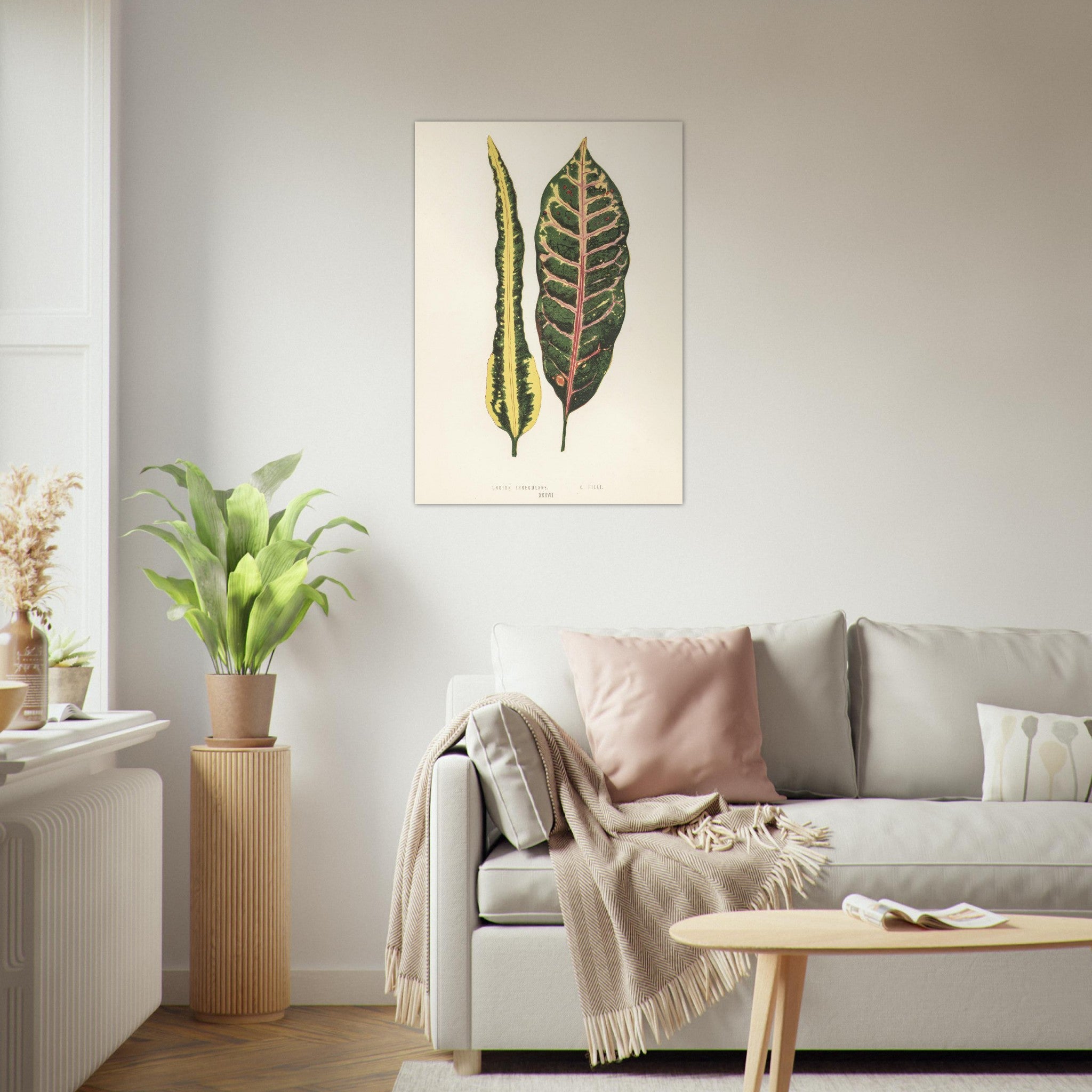 c407ed56-9381-490e-b824-cf9bf8edcf54