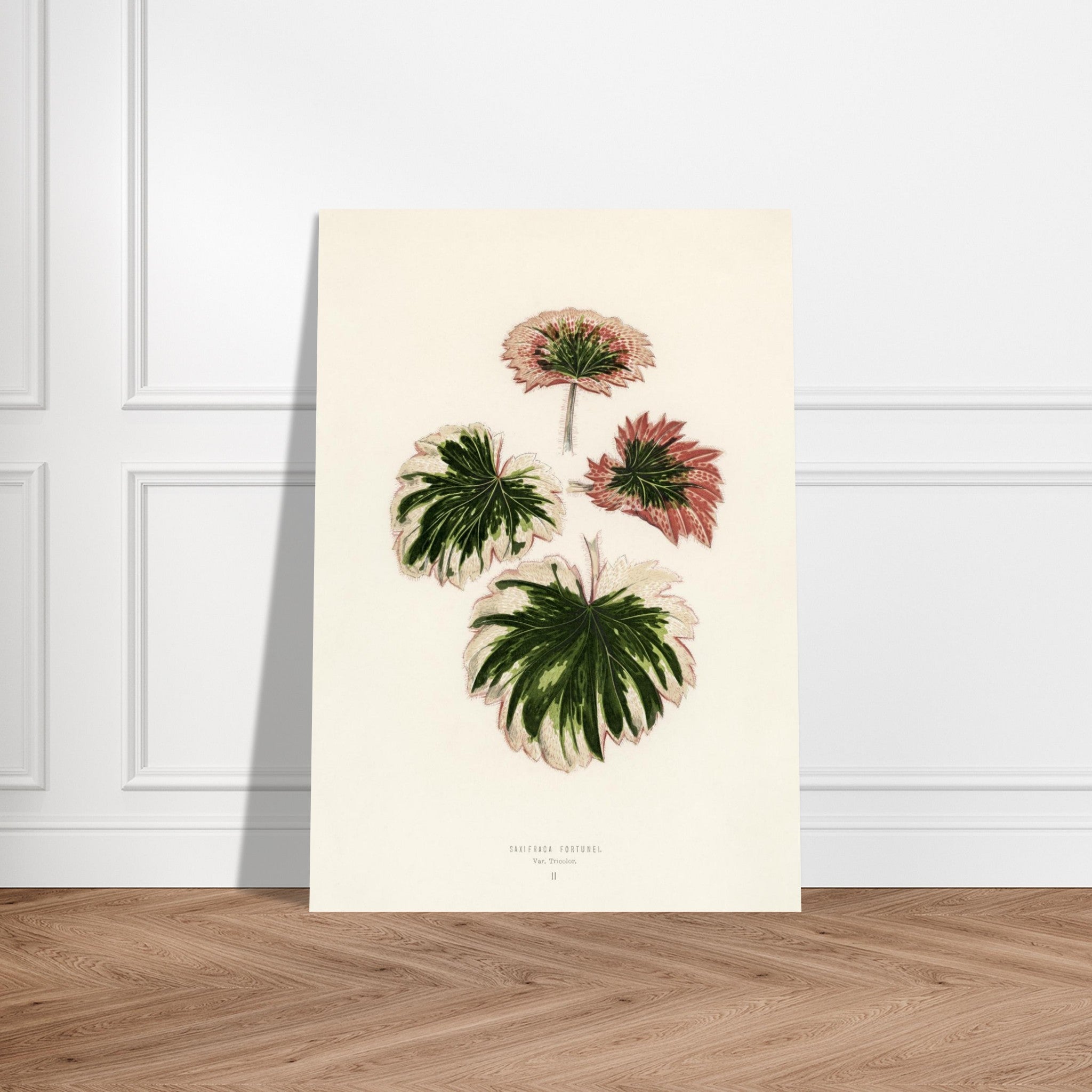 c7788add-acba-4b91-9330-3fc1d7797e63