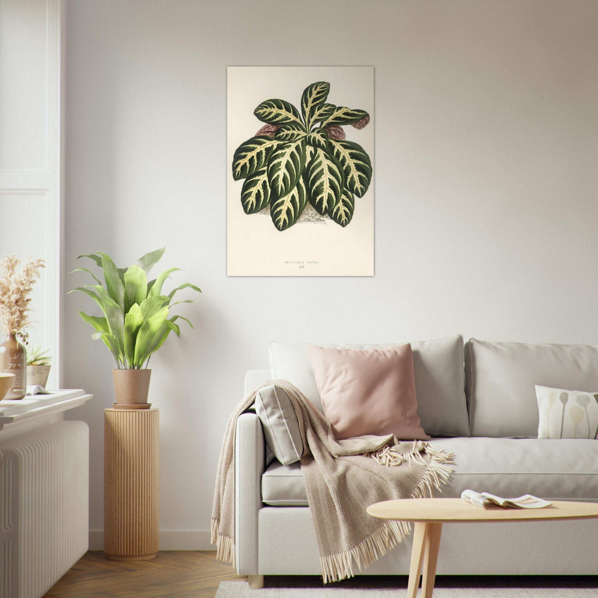 c8c3409f-d03b-4f4a-919b-224ee6953ae2