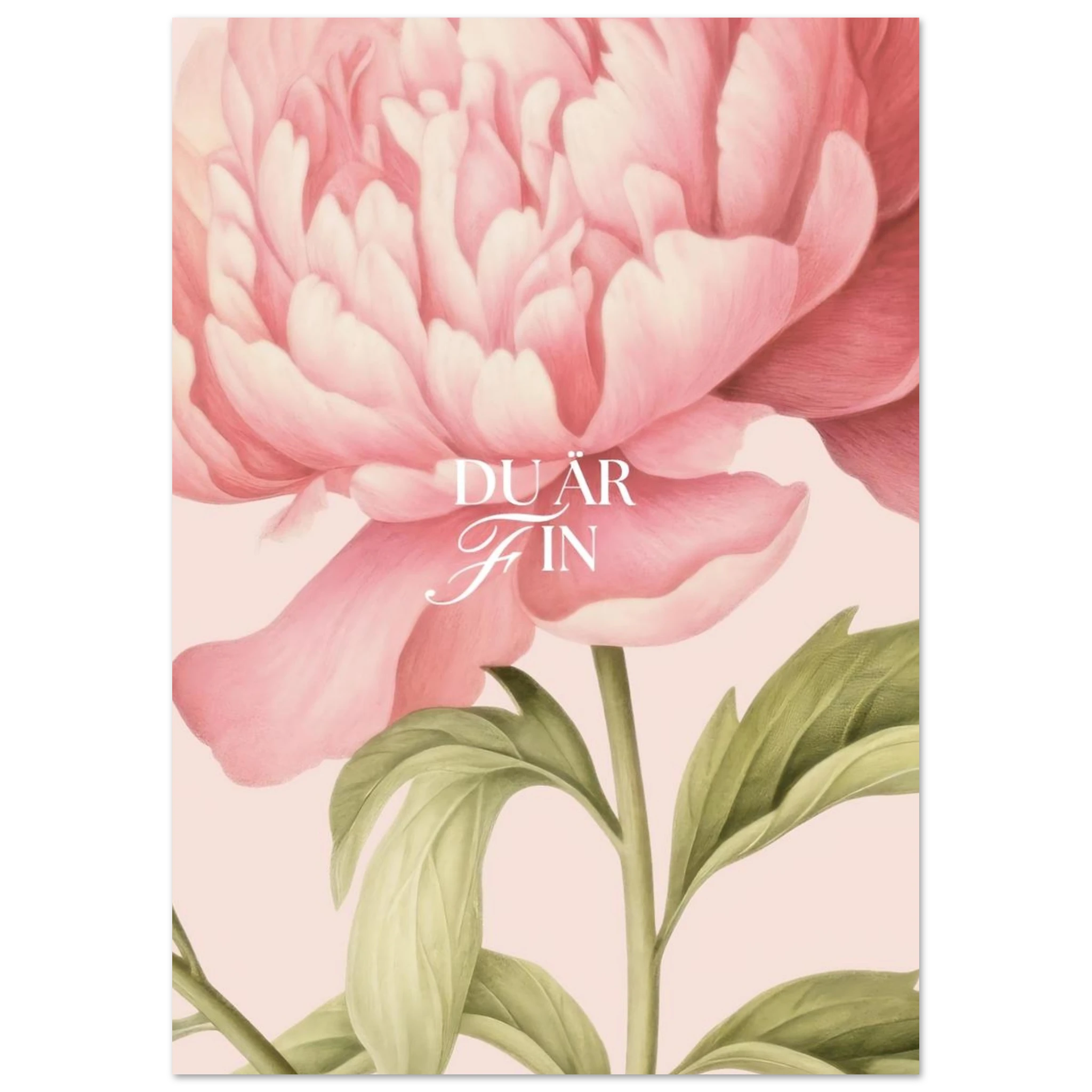 c98f7451-e943-4a1f-b1fb-dc8e4d084fb0