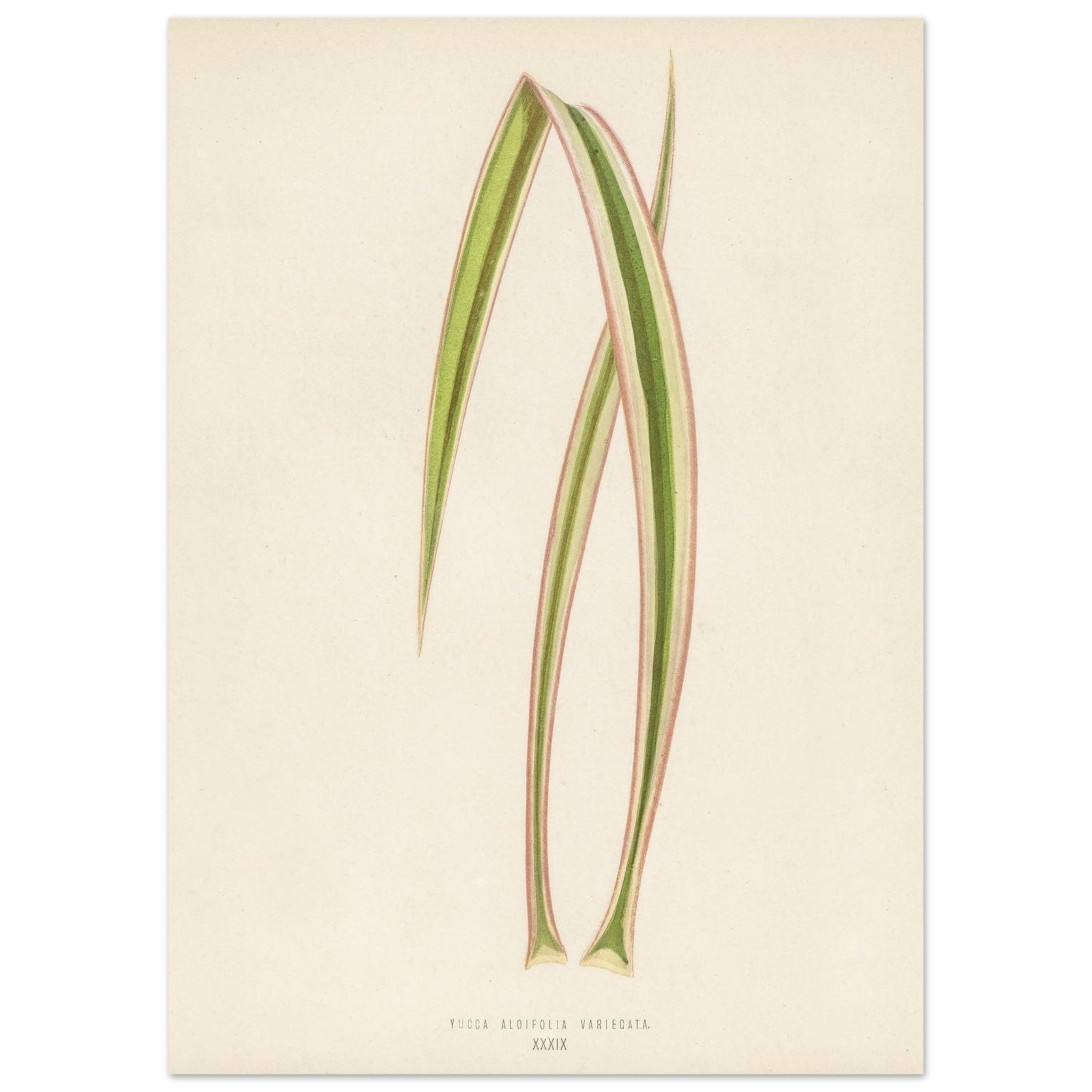 d430e019-fa4a-45ef-94ab-2e8a6022096e