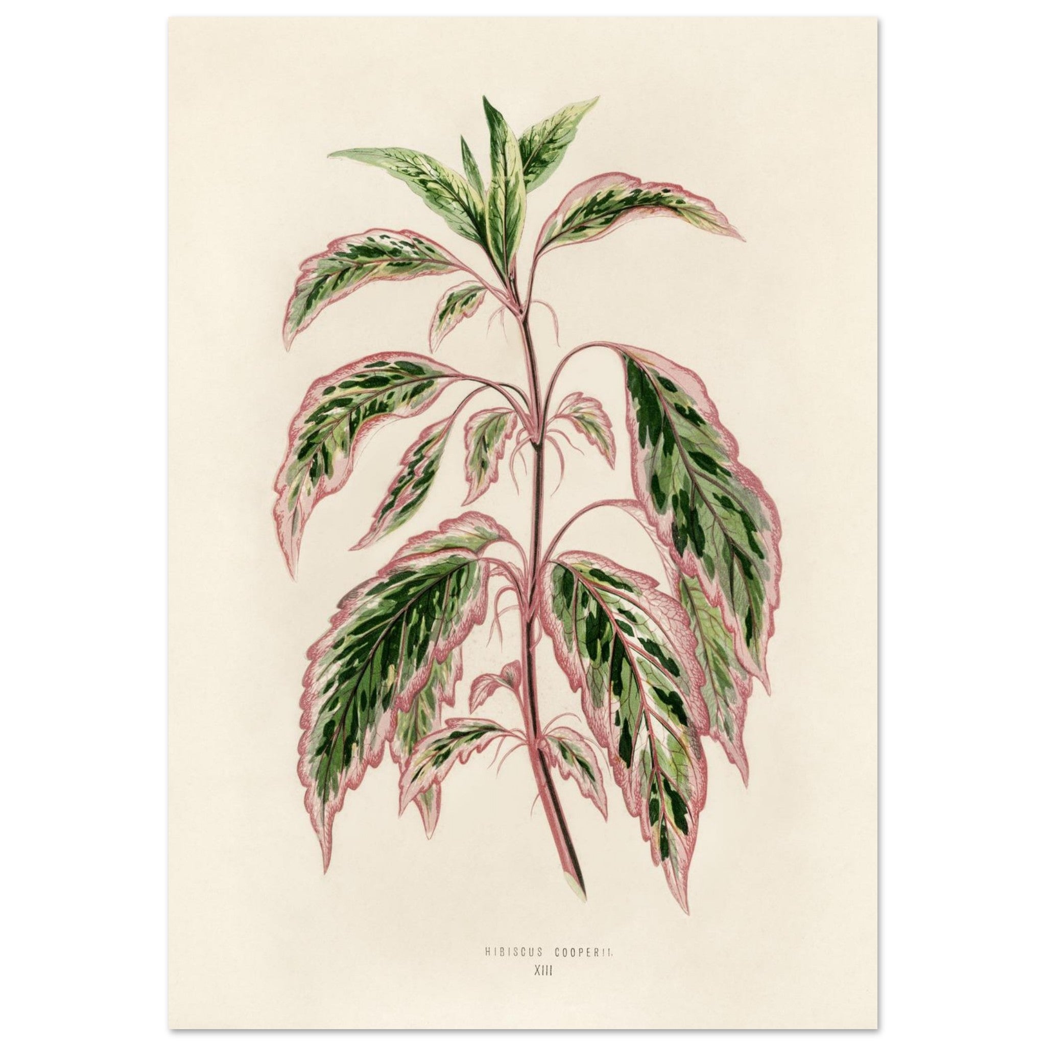 da5abc42-4593-4097-984a-eea582fff682