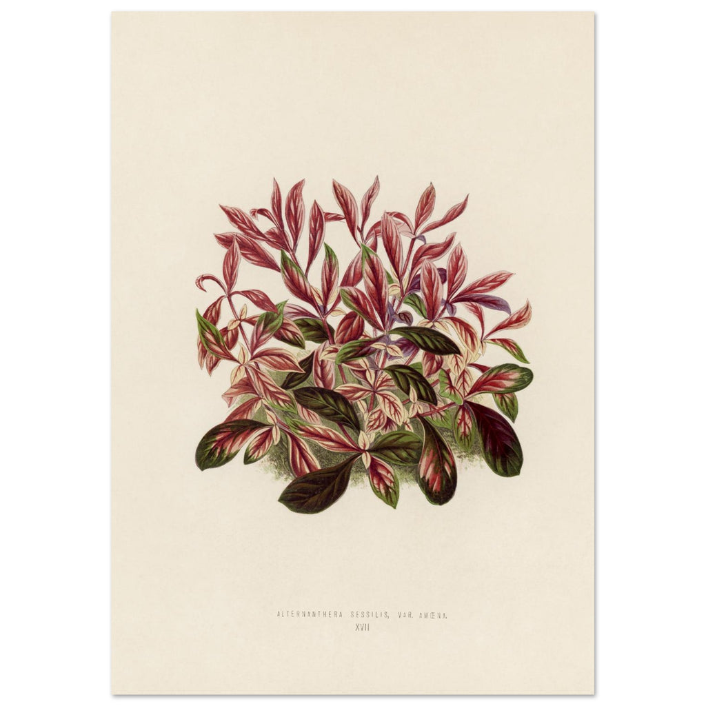 dd194bf8-6114-421a-9564-9d798276449e