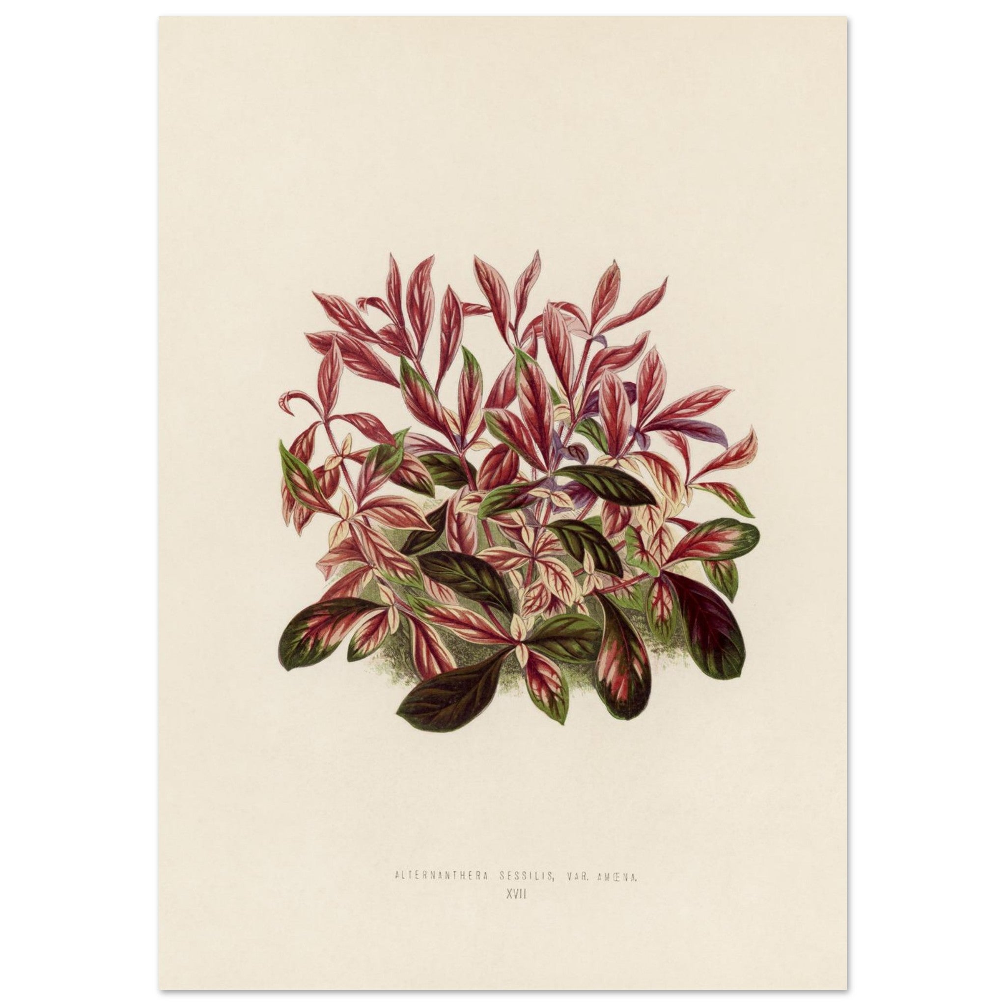 dd194bf8-6114-421a-9564-9d798276449e