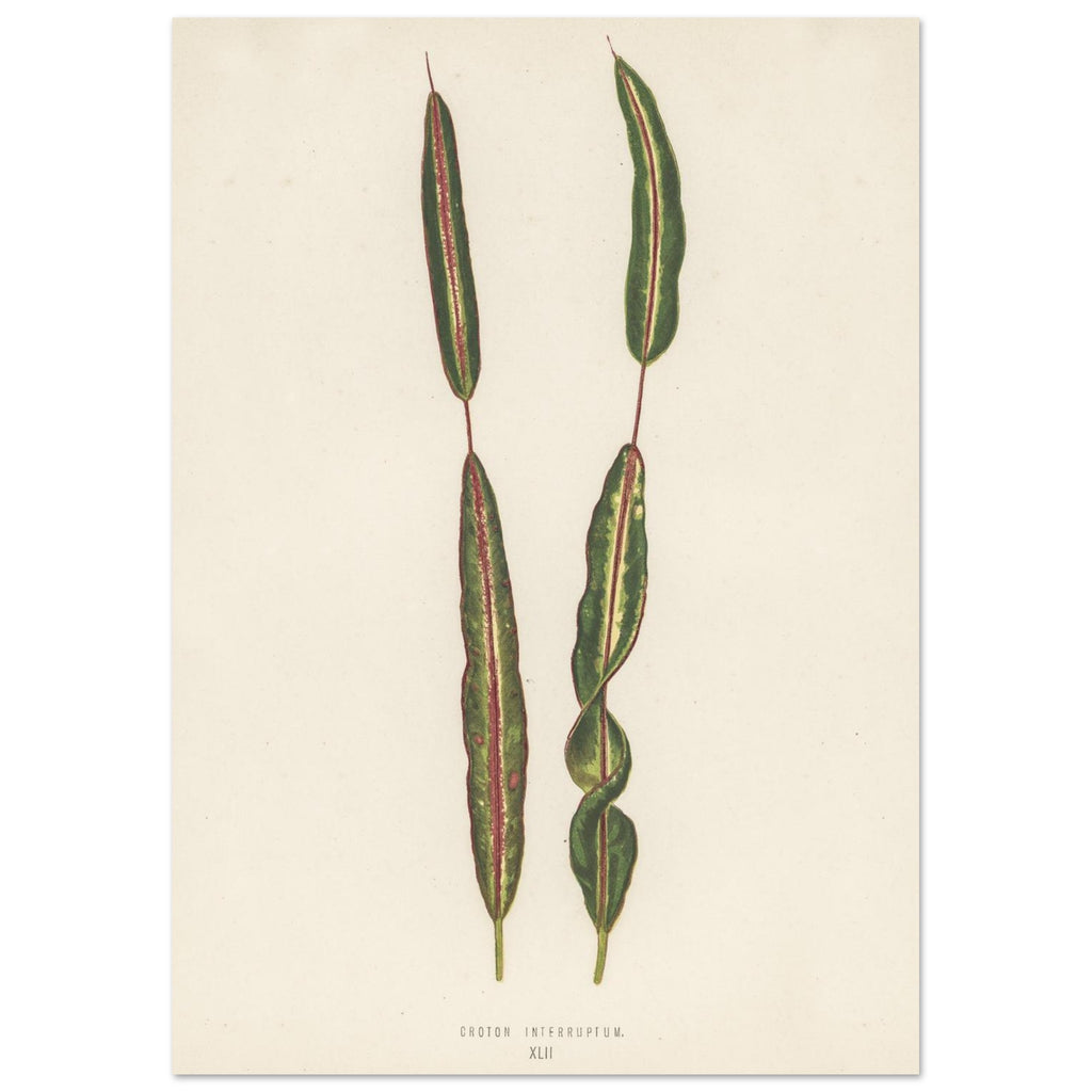 e5a33aba-f454-4918-9cf2-59e78027c119