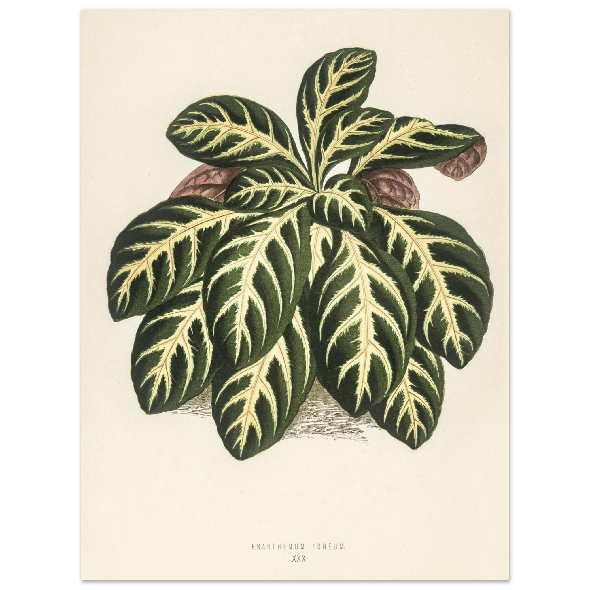 f53cf4c0-cd12-4864-8099-aeaaea94c7c3